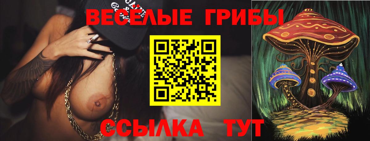 Псилоцибиновые грибы MAGIC MUSHROOMS  Вход с VPN  Кимры  Псилоцибиновые грибы GOLDEN TEACHER 