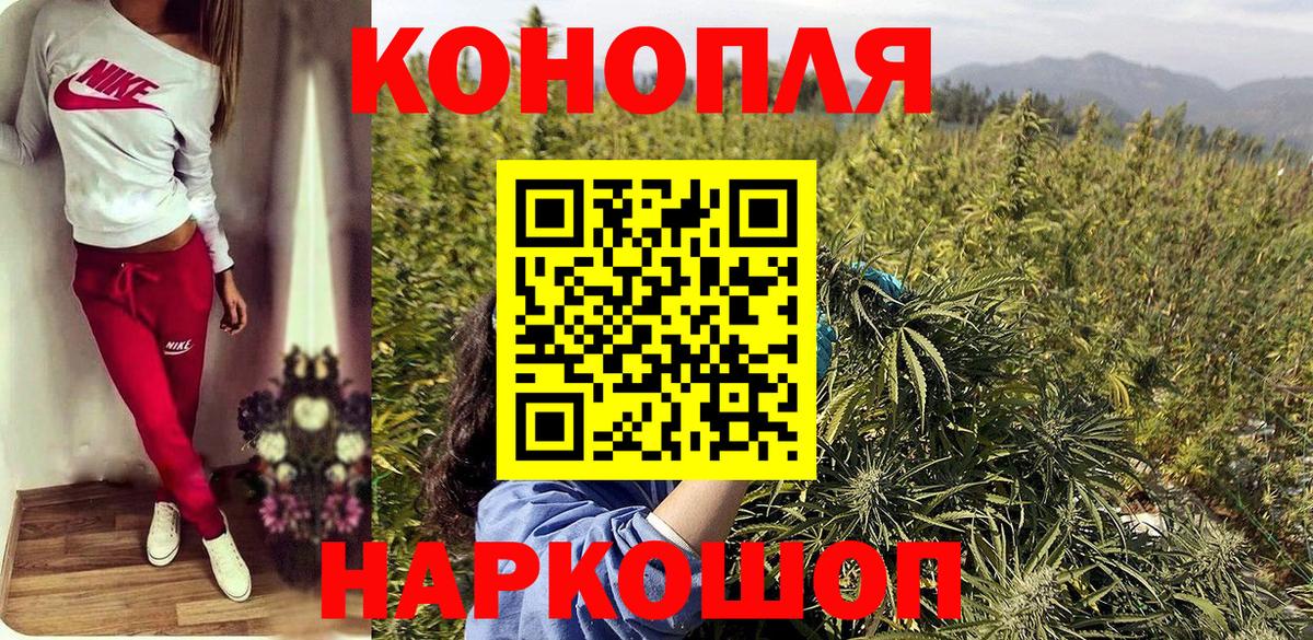 Канабис семена  Бошки марихуана тримм  Бошки Шишки планчик  Вход с VPN  Шишки марихуана гибрид  Кимры 